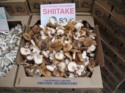 How Mushrooms Benefit your Health