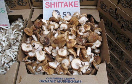 How Mushrooms Benefit your Health
