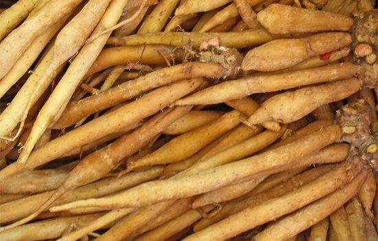 Ginseng Health Benefits