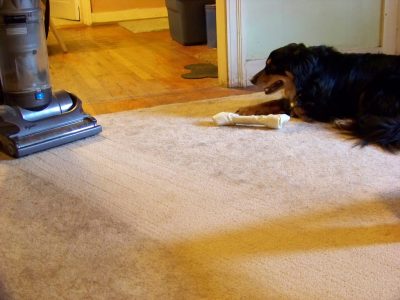 Vacuums can make your Home Healthier