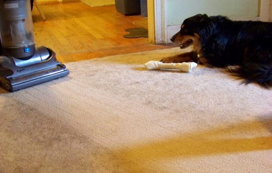 Vacuums can make your Home Healthier