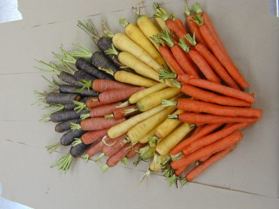 Eat more Root Vegetables for Good Health