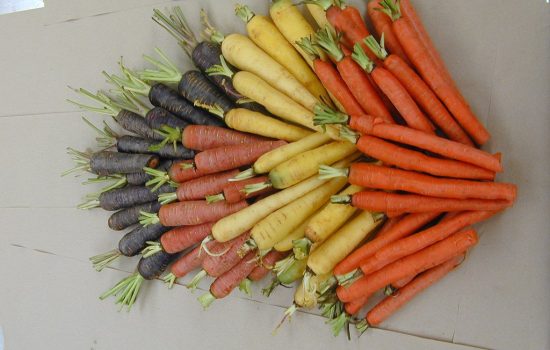 Eat more Root Vegetables for Good Health