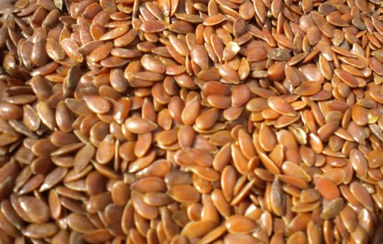 Flax Seeds Health Benefits
