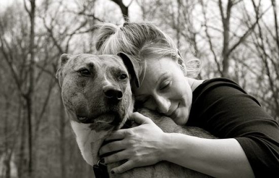 Dogs or Pet Ownership Offer Health Benefits