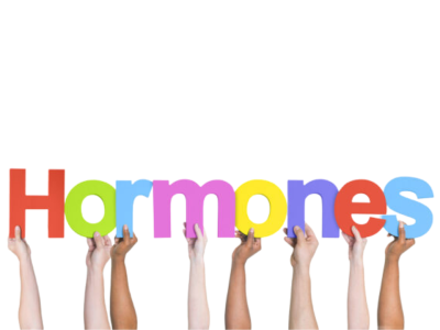 The Ultimate Guide to Women’s Hormonal Health and Balance