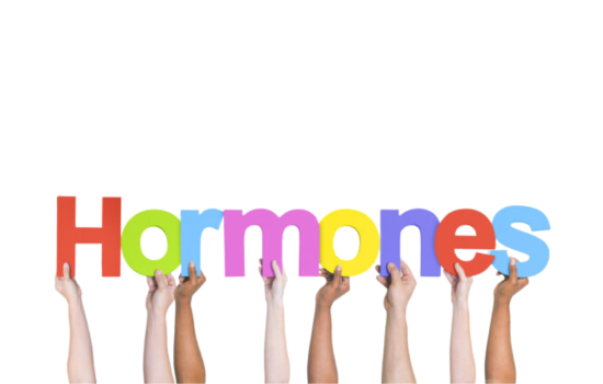 The Ultimate Guide to Women’s Hormonal Health and Balance
