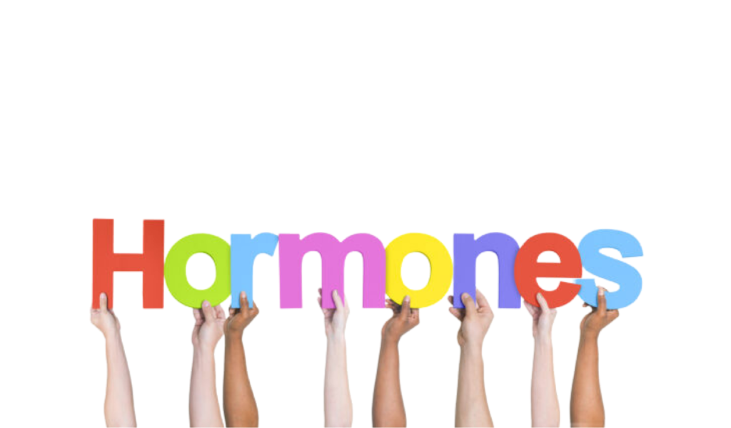 hormones (3) hormones (3)